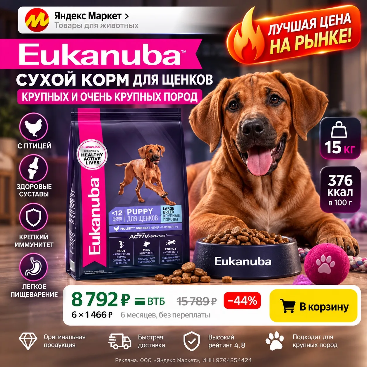 🐶 Корм Eukanuba для щенков крупных пород — 15 кг