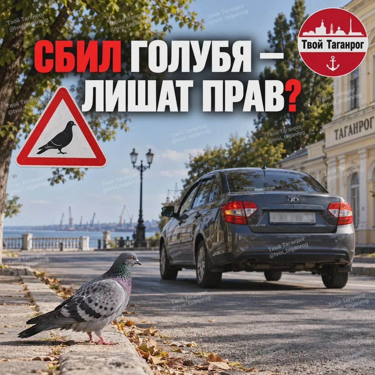 Наезд на птицу сам по себе не лишает прав