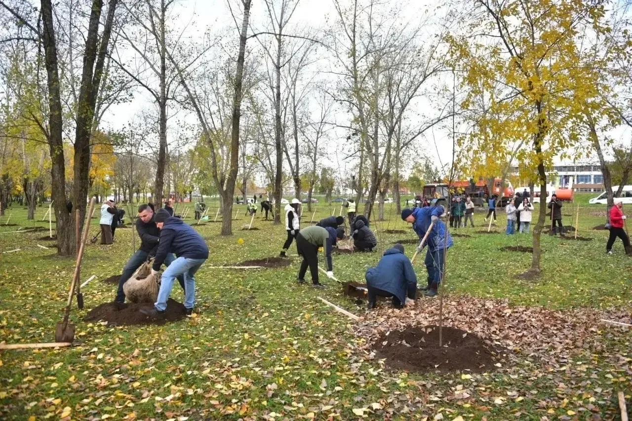 🌳Сегодня в 7 утра собрались большой командой высаживать деревья в Сидоровском парке!