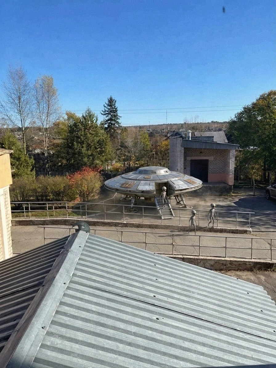 Фотографии медведей на улицах Шимановска оказались фейком