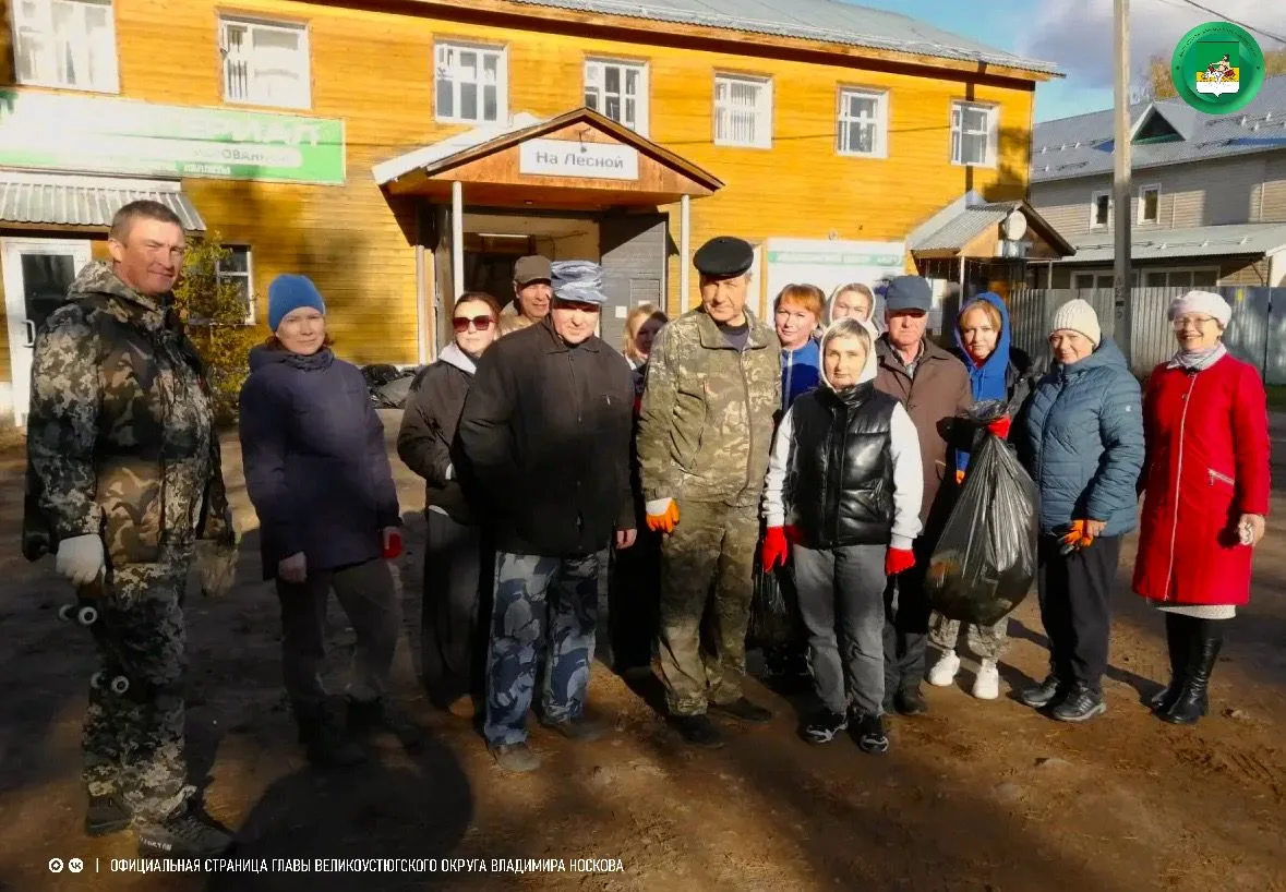 Пока одни героически сражаются с диваном и новостной лентой, другие выходят на уборку г...