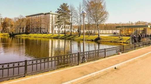 Главное в Петербурге 11 октября: подорожание масла, матч с Зенитом и запрет чая