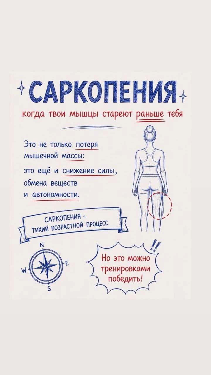 Главное оружие против саркопении — правильные тренировки + достаточное количество белка.