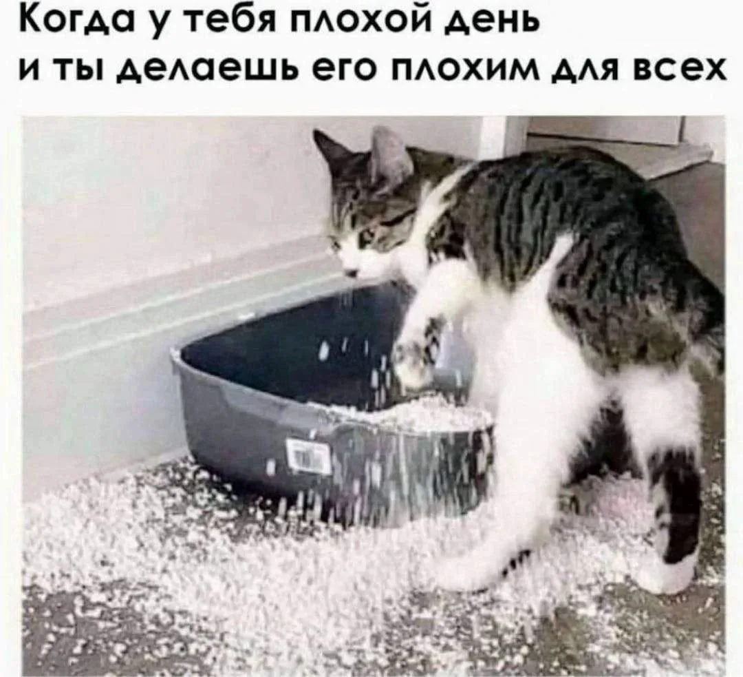 ПРУFИКИ В МАХ