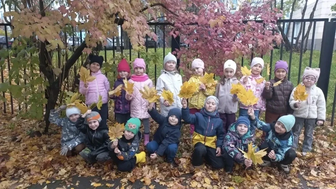 🍂День собирания осенних листьев