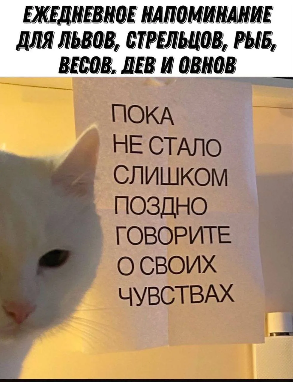 Ежедневное напоминание: