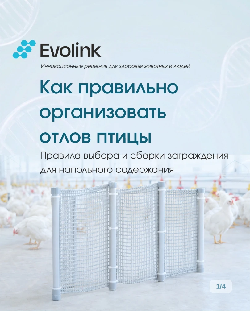 Продолжаем делиться лайфхаками по практическим аспектам вакцинации