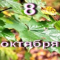 Доброе утро! Пусть в любую погоду на душе будет легко и светло! Прекрасного Сегодня всем!
