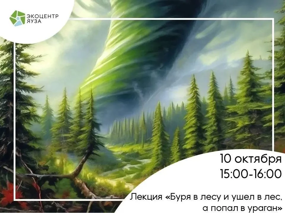 🍃Приглашаем на лекцию «Буря в лесу и ушёл в лес, а попал в ураган»
