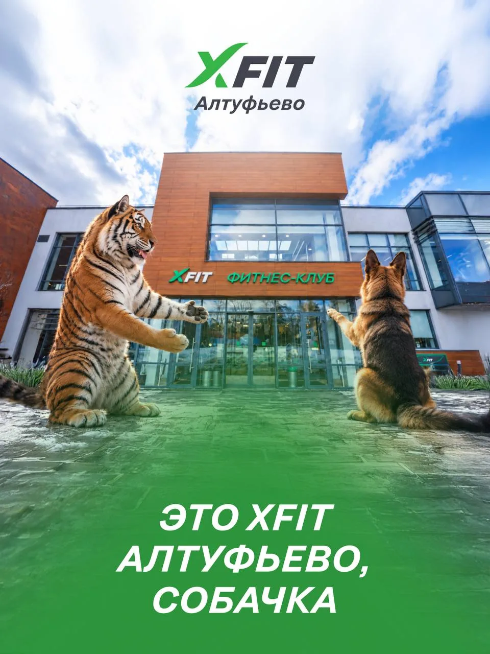 Решили провести для собачки небольшую экскурсию по XFIT Алтуфьево.
