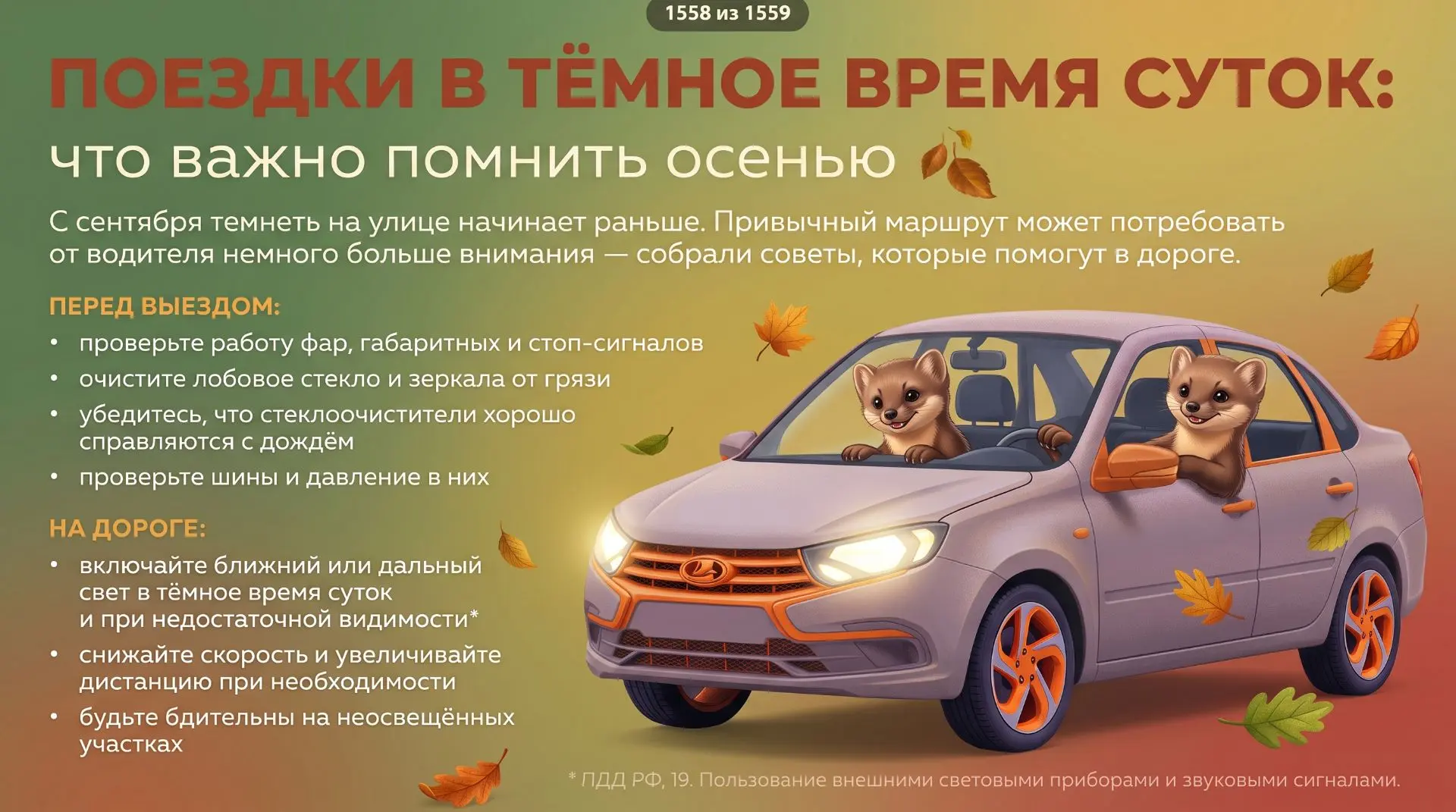 Советы водителям осенью 🚖