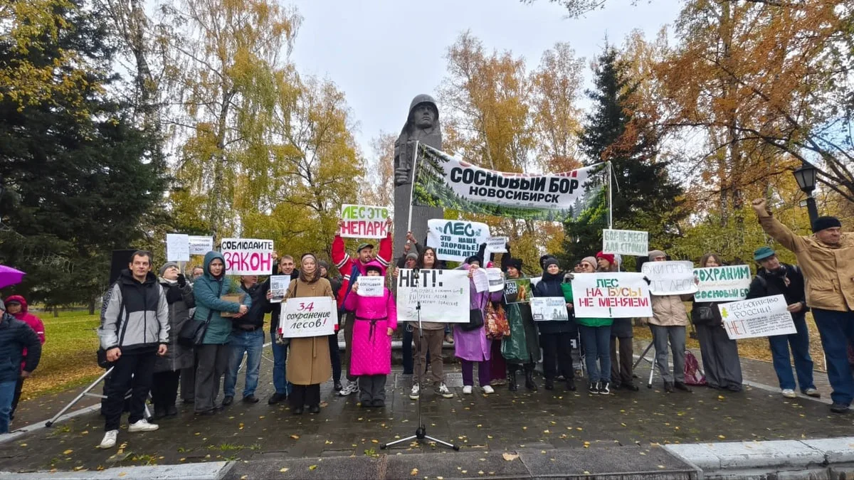Новосибирцы провели крупный митинг против вырубки леса в Сосновом Бору, собралось около...