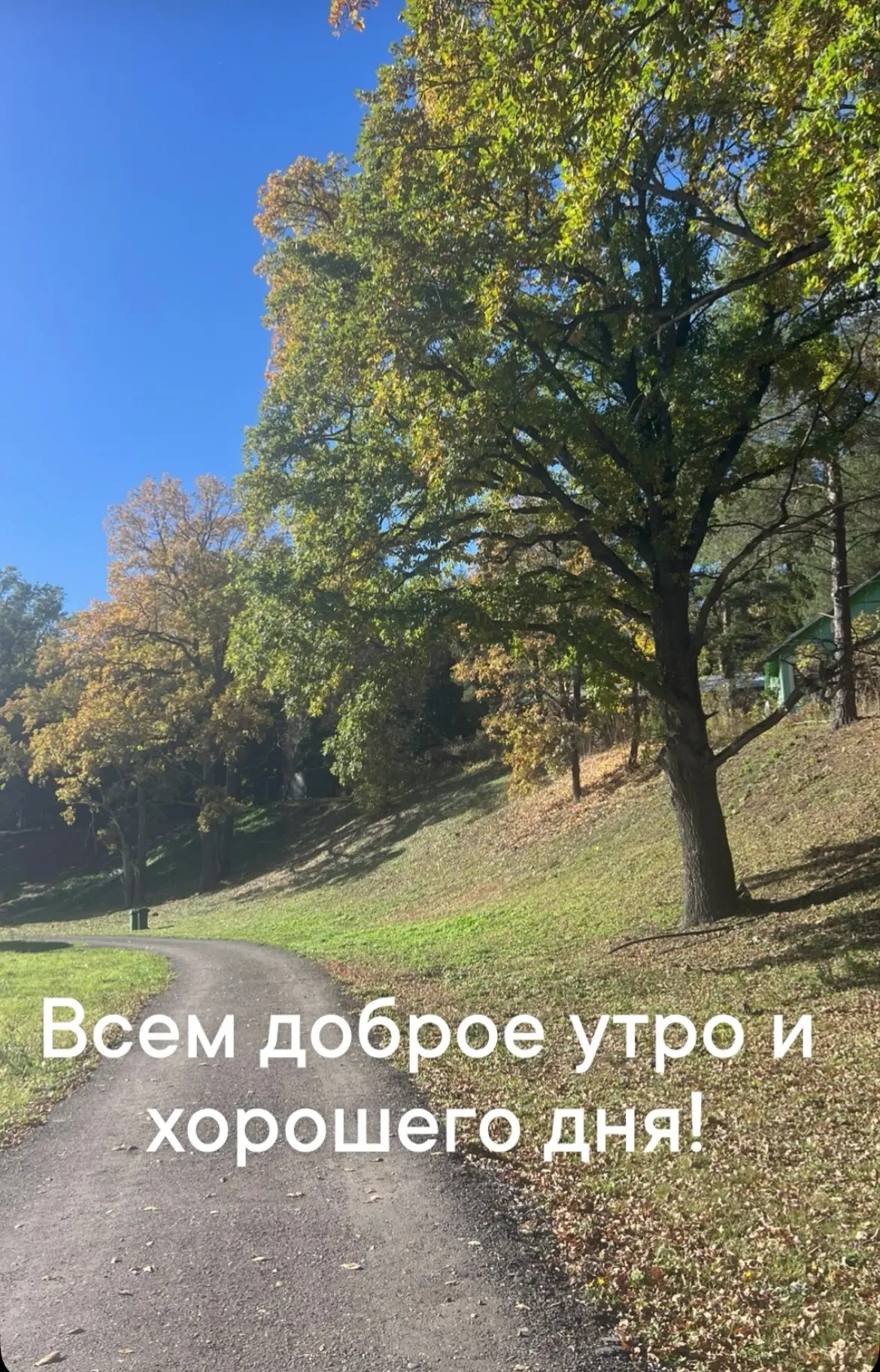 У меня в планах на сегодня много километров, немного работы и много Дианы.