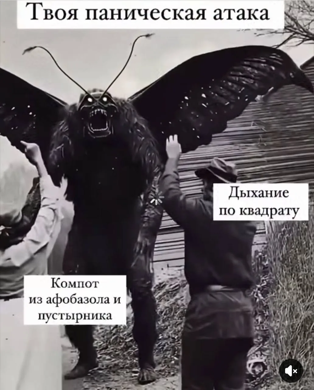 Подписаться