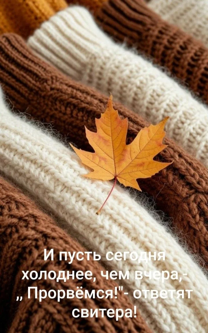 Безмятежности вам во снах❤️и хорошего настроения по утру🌷