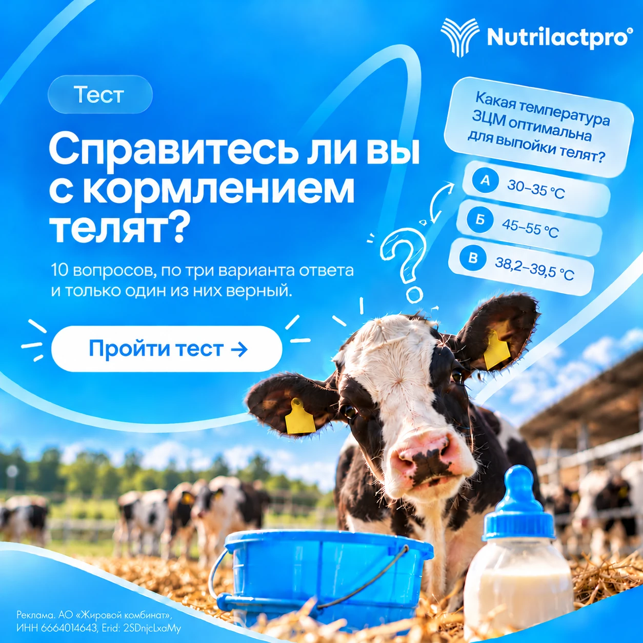 ❓ Проверьте себя: справитесь ли вы с кормлением телят?