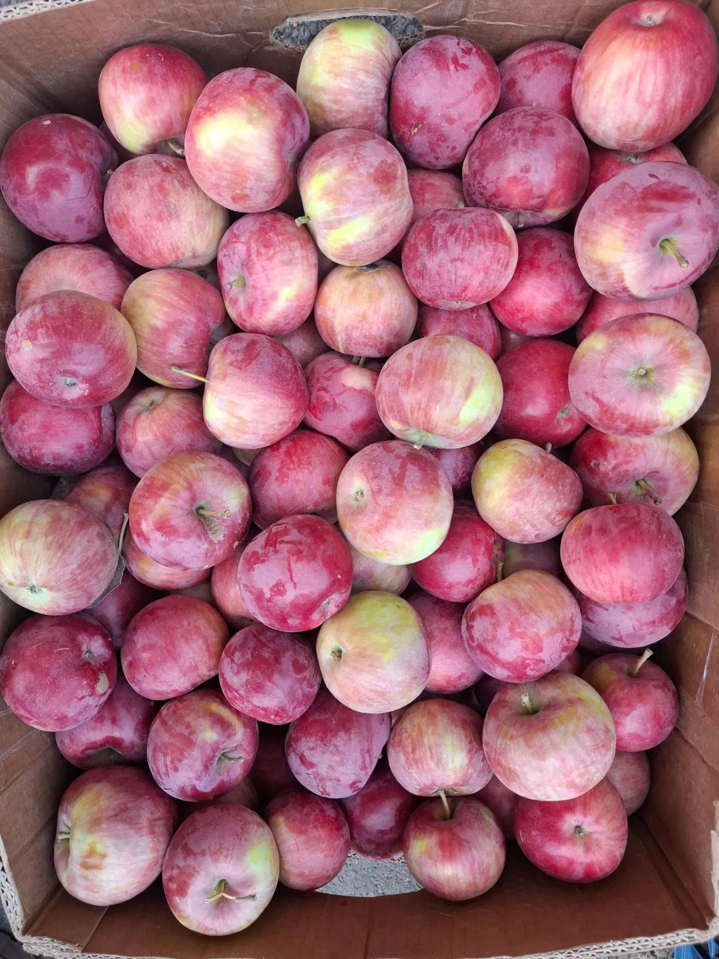 🍎Самарские яблочки по 100₽