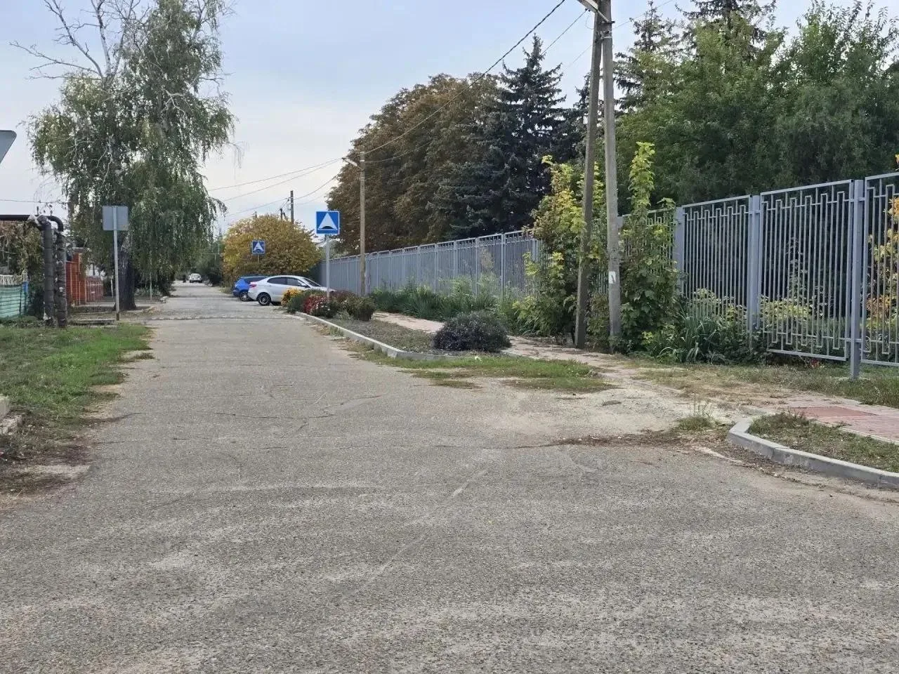 🌿 В посёлке Садовом жители сообща благоустроили клумбы на центральной улице