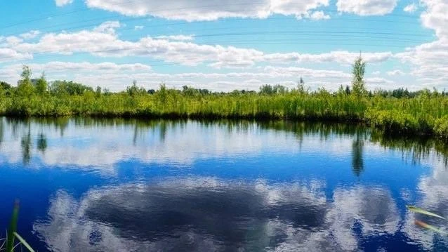 Шикарная летняя панорама. Вспоминаем тёплые деньки🙌🏻