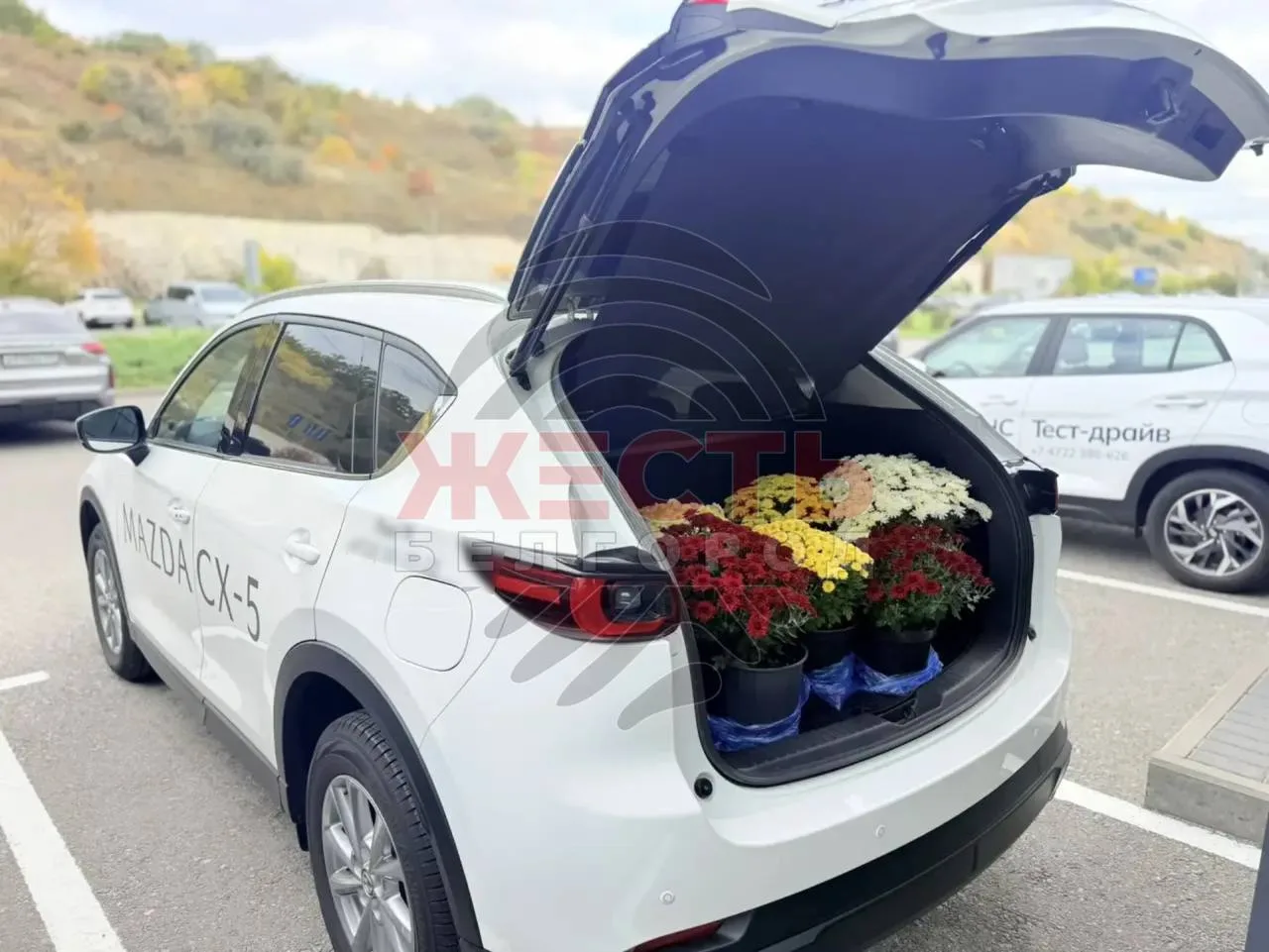 🤦 10 октября на Студенческой, 1У из автомобильного салона похитили цветы