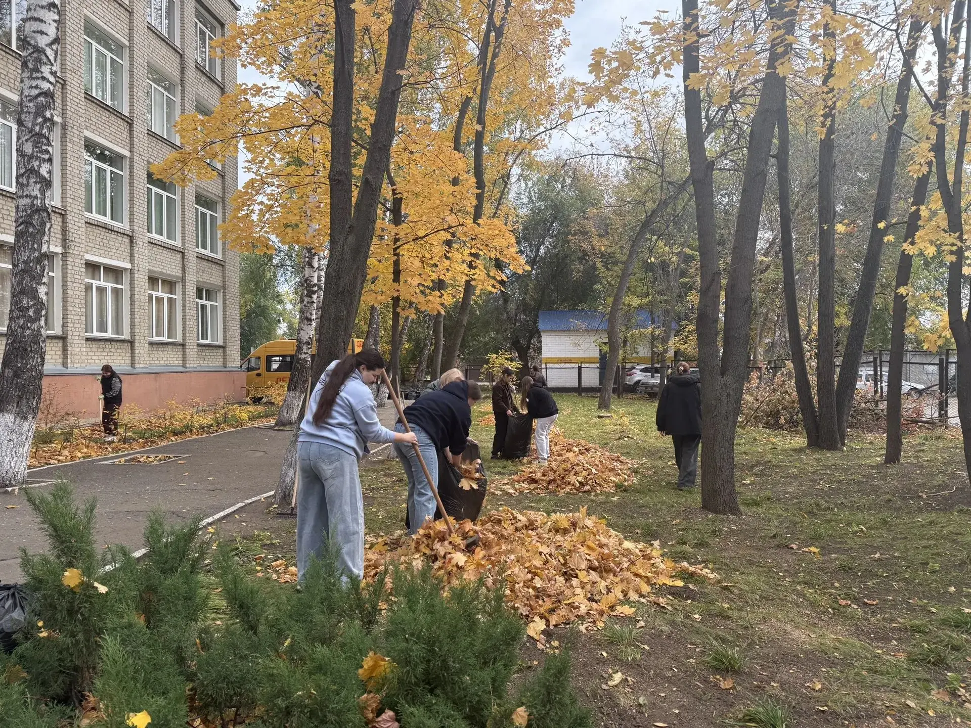 Чистый колледж начинается с нас: итоги субботника