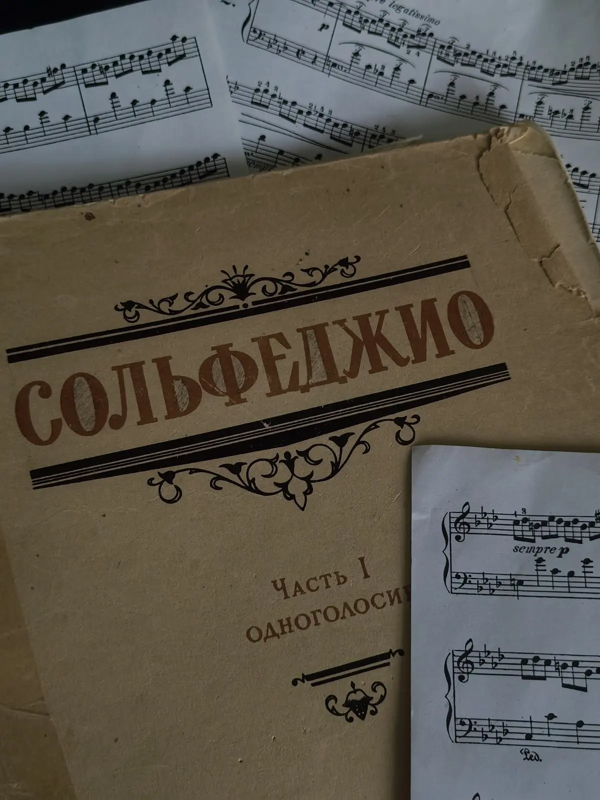 🎵 «Зачем мне это сольфеджио?!» — пожалуй, самый частый вопрос, который слышат родители...