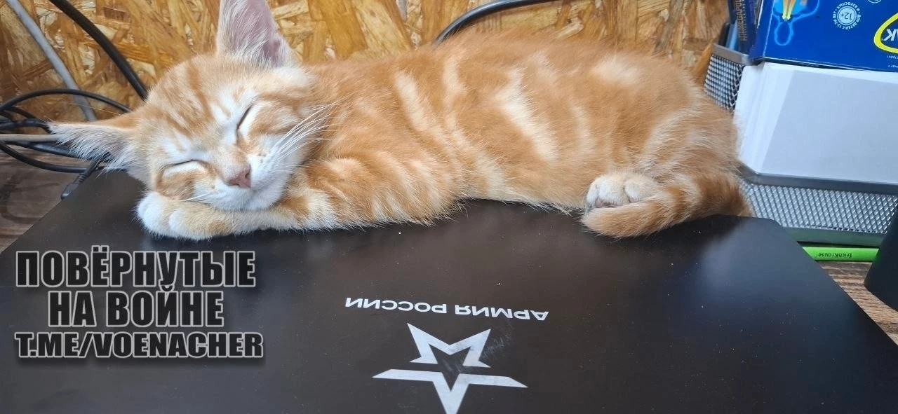 Доброе утро
