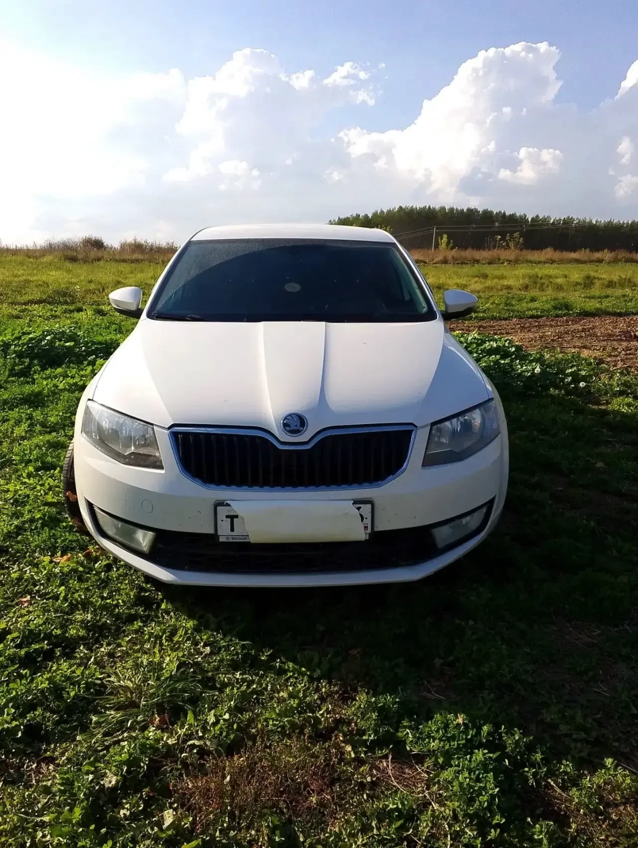 Skoda Octavia A7, 2014г, 1.2л, 105л.с., механическая коробка.