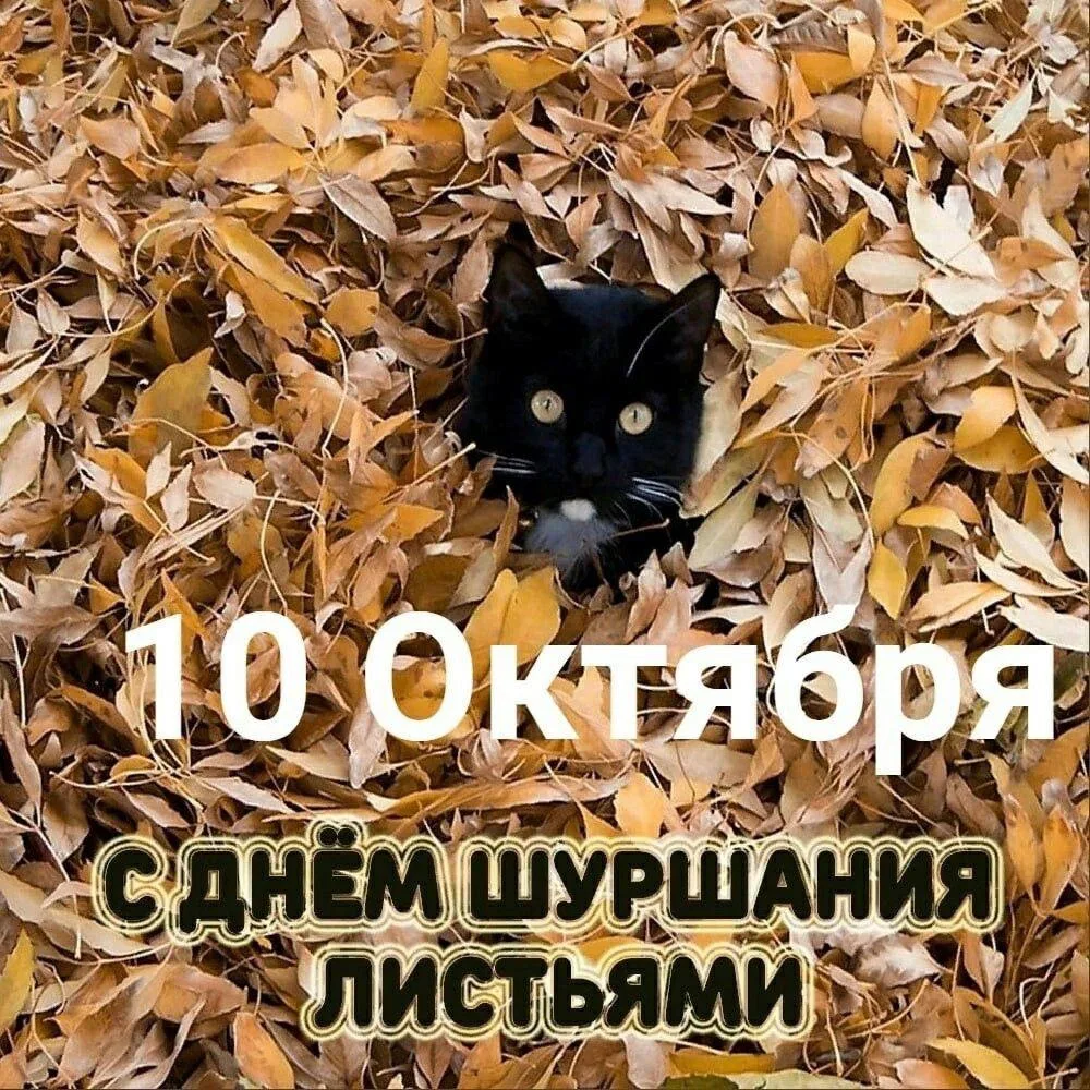 Женские открытки💝