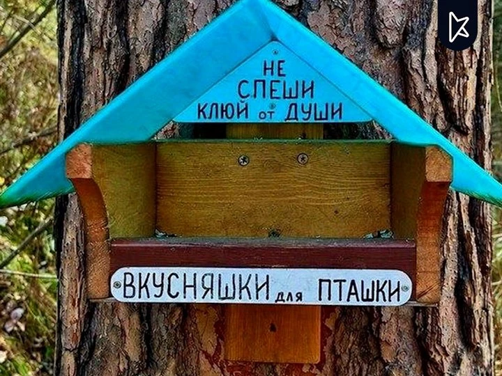 Беличье кафе, автобусная остановка и отель: в Москве нашли самые необычные кормушки для...