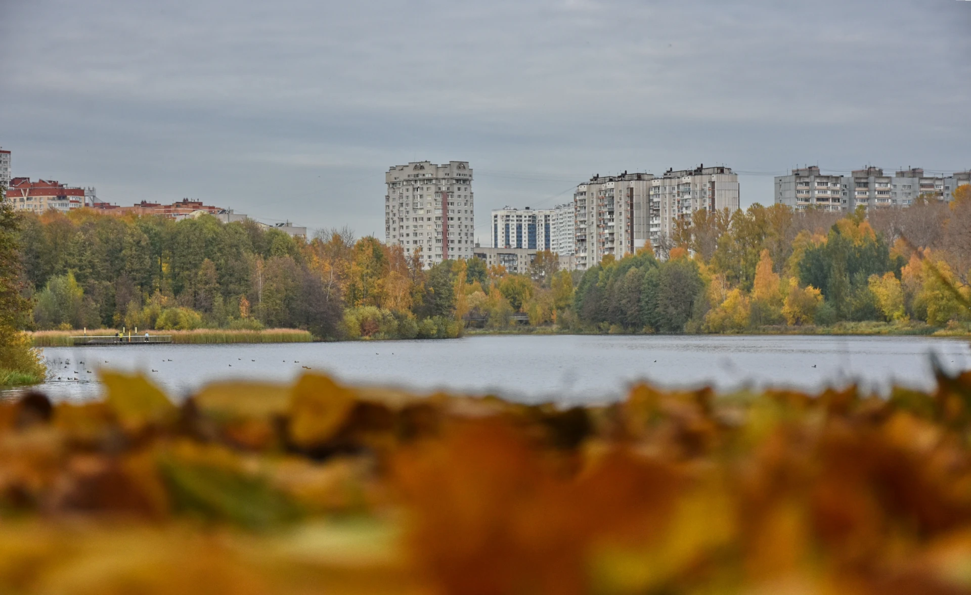 ЗОЛОТАЯ 🍁 ОСЕНЬ