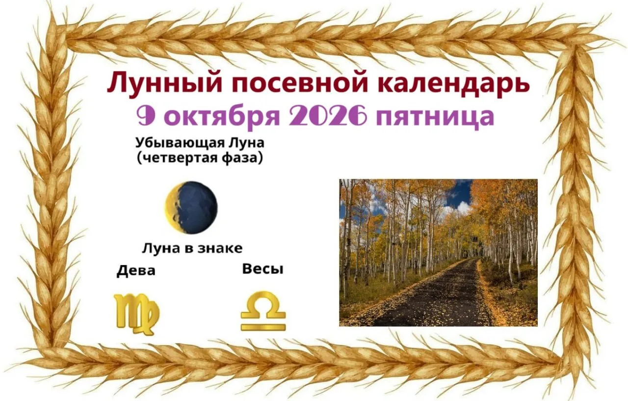 9️⃣ октября, пятница