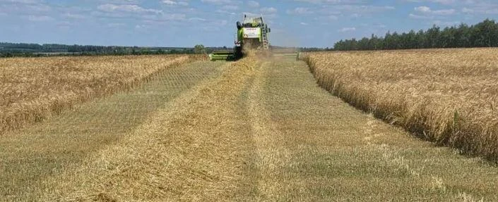 🌾 Более 1,8 млрд рублей: Белгородская область получит поддержку для аграриев