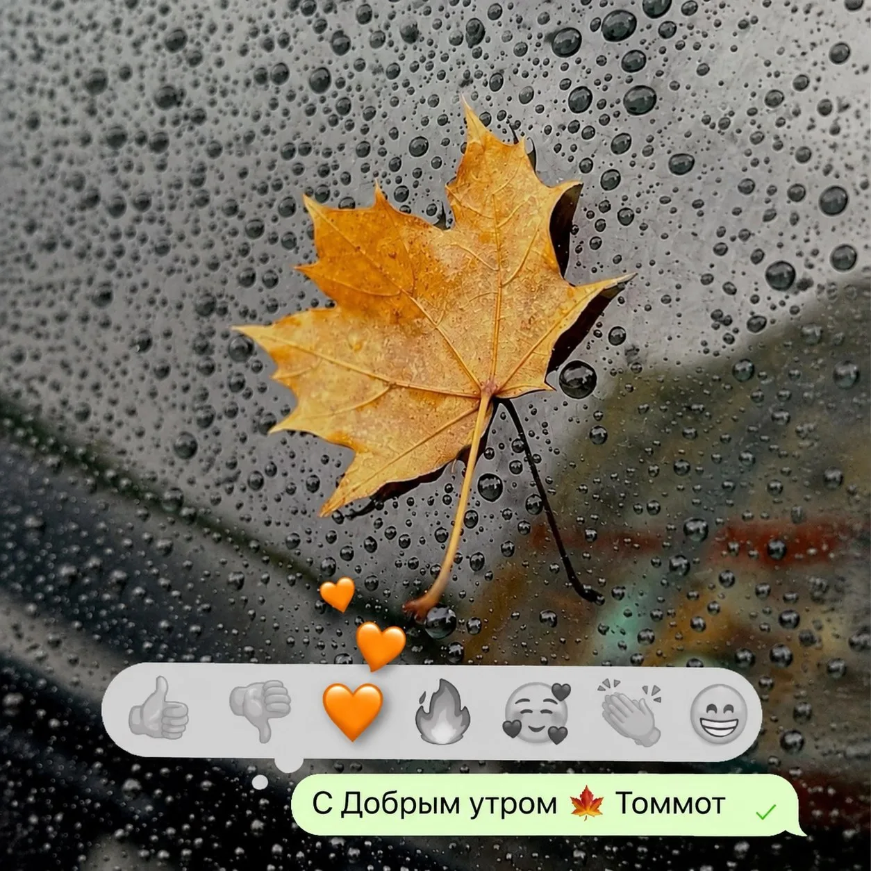 Среда, 14 октября: