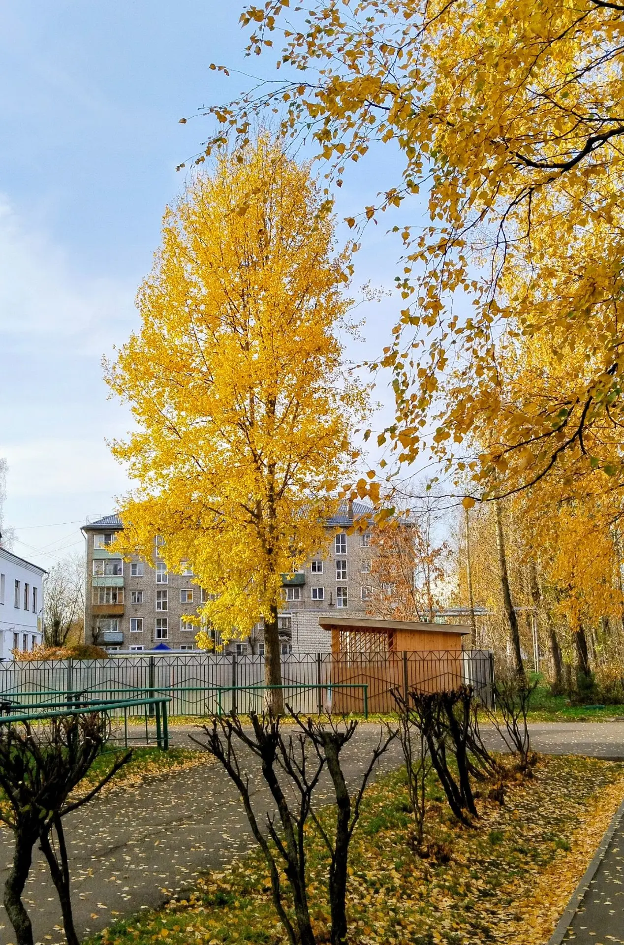 🍂🍁✨Осенний пейзаж. Лазурь и золото.