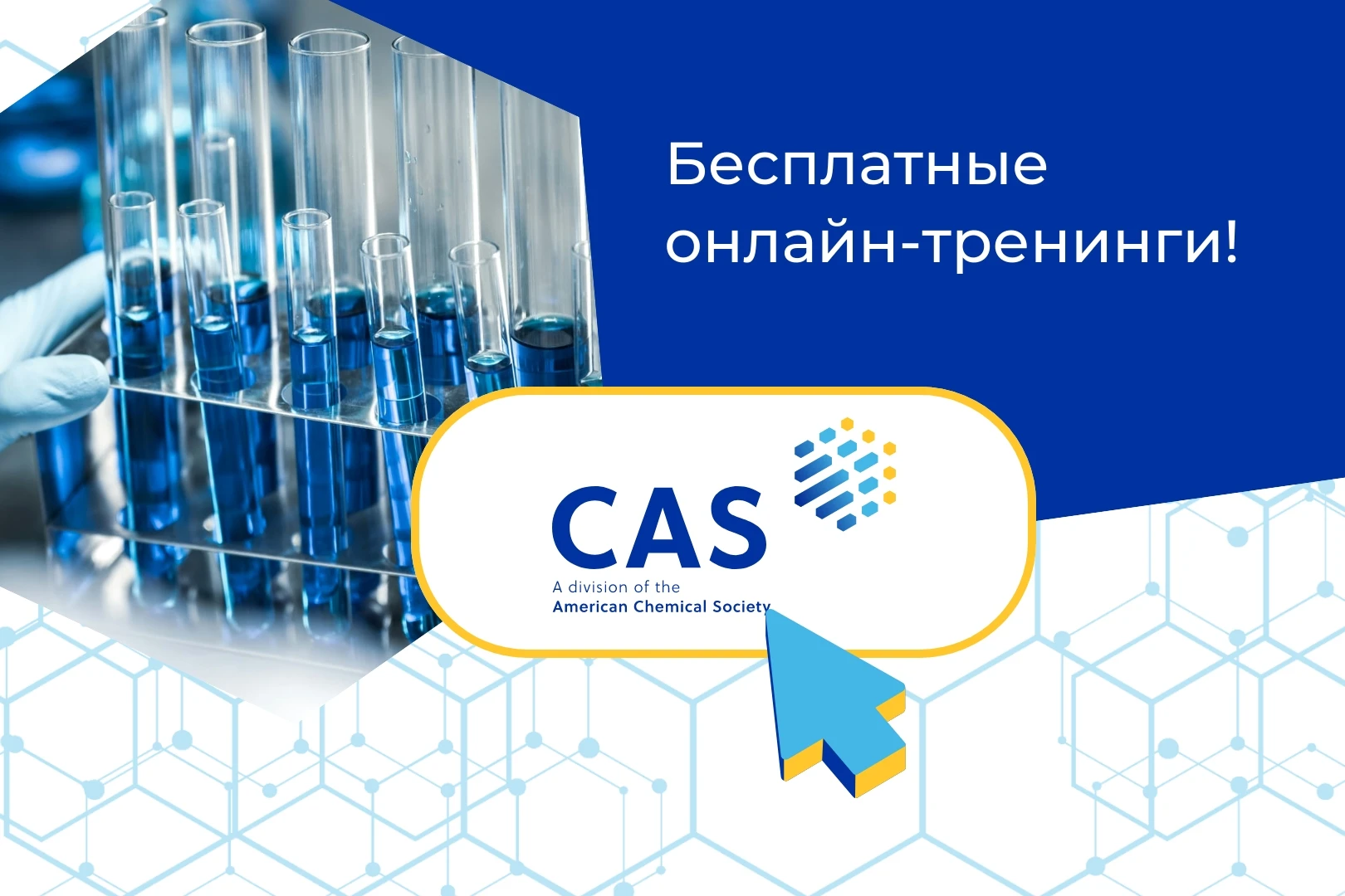 Повышайте профессиональные возможности! Бесплатные онлайн‑тренинги по работе с платформ...