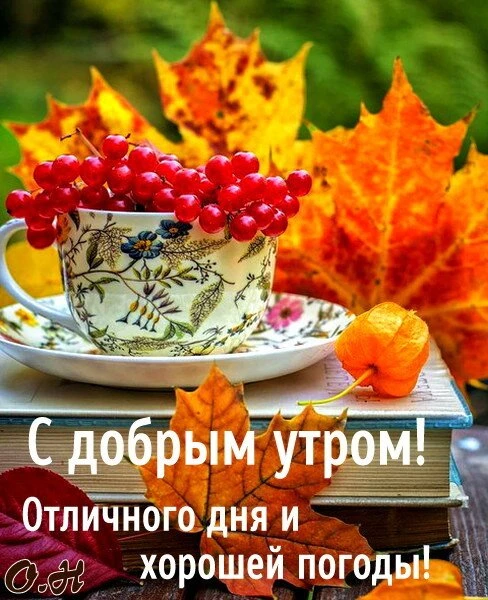 Оставьте реакцию — это как тёплый привет! 💖