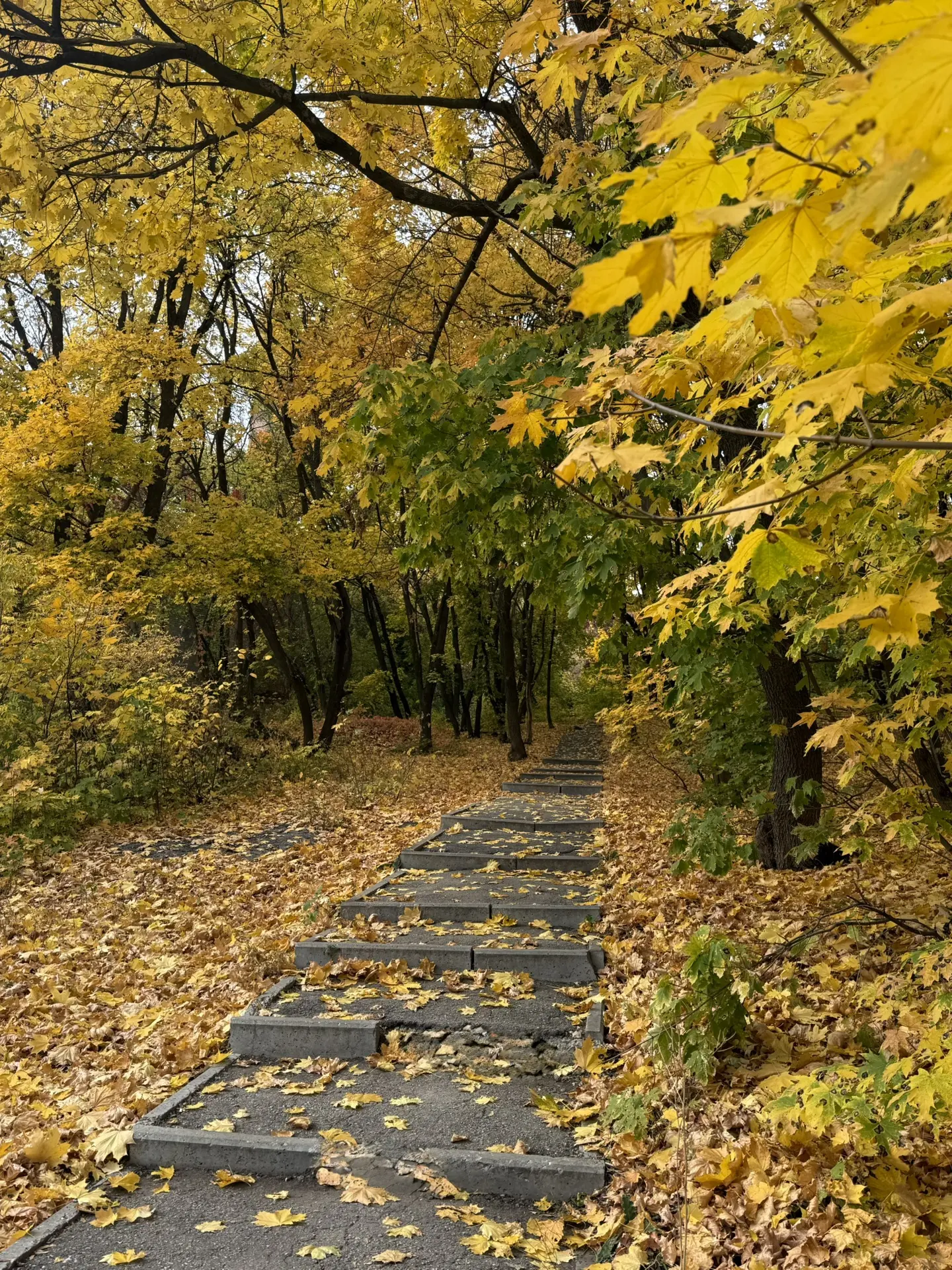 Осень 🍂 прекрасна.