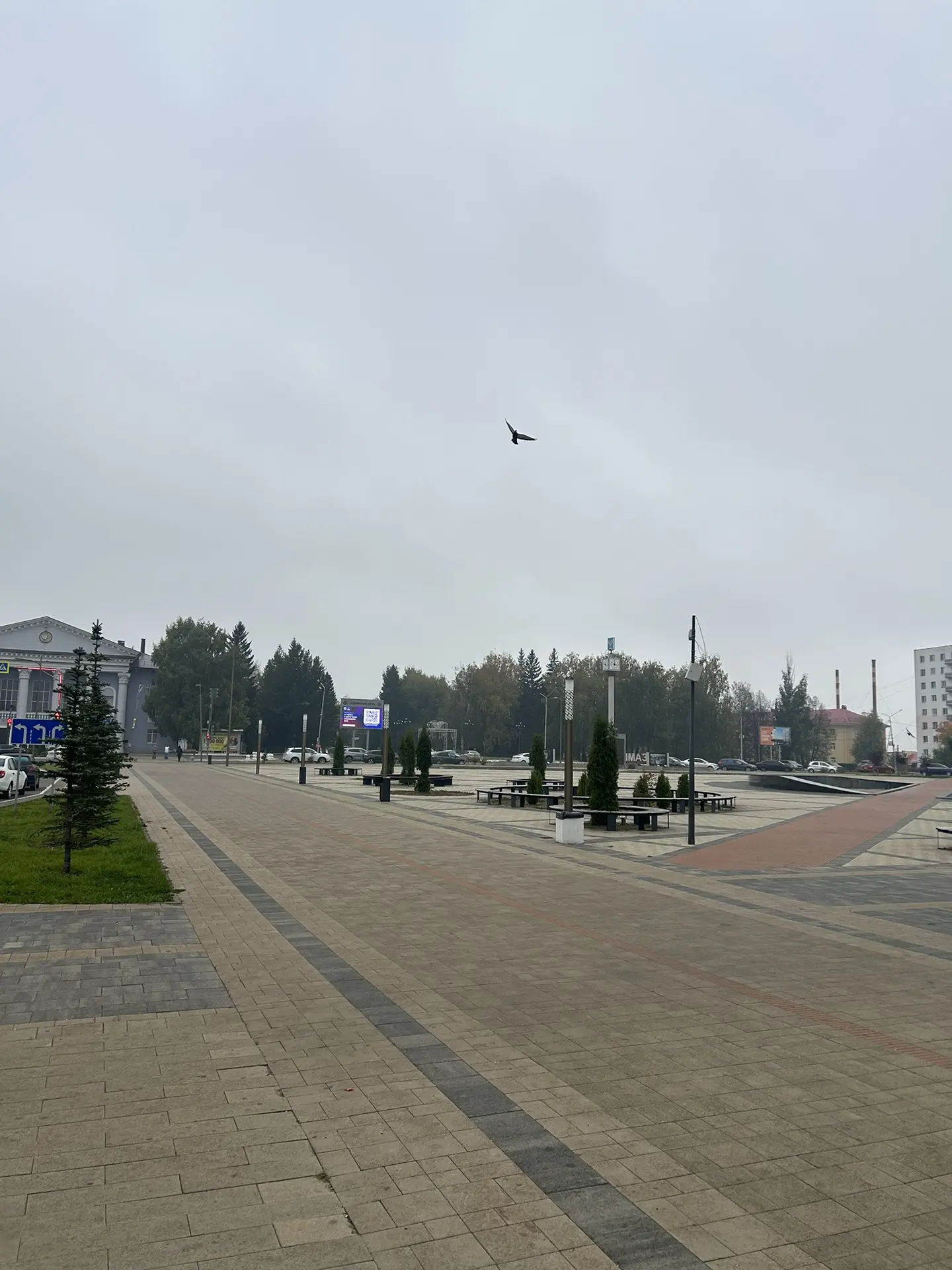 ☀️ Доброго утречка, сегодня ясно, ветер слабый +9°