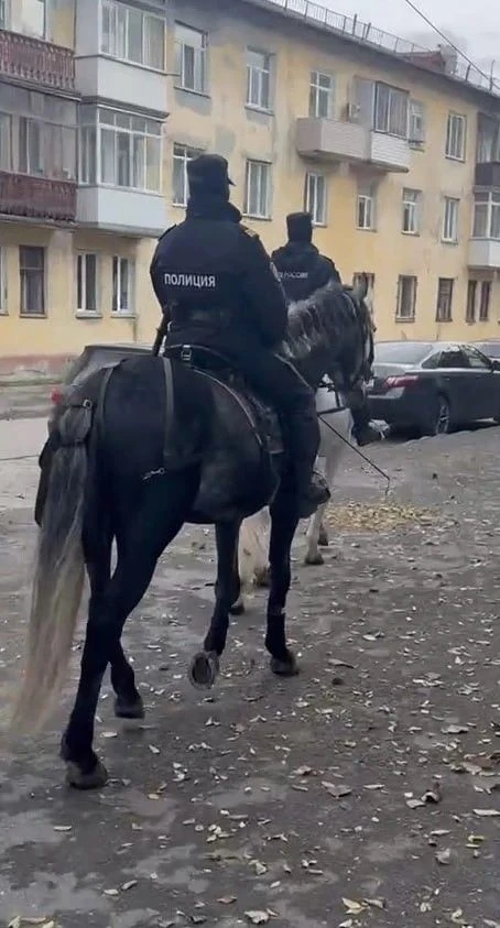 🐎 На этой неделе в городских соцсетях начали появляться фото и видео с конной полицией...