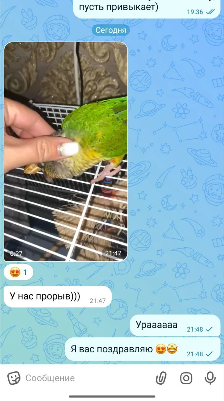 Отзывы наших покупателей 😃🥰Поздравляем ☺️😃🤩🦜