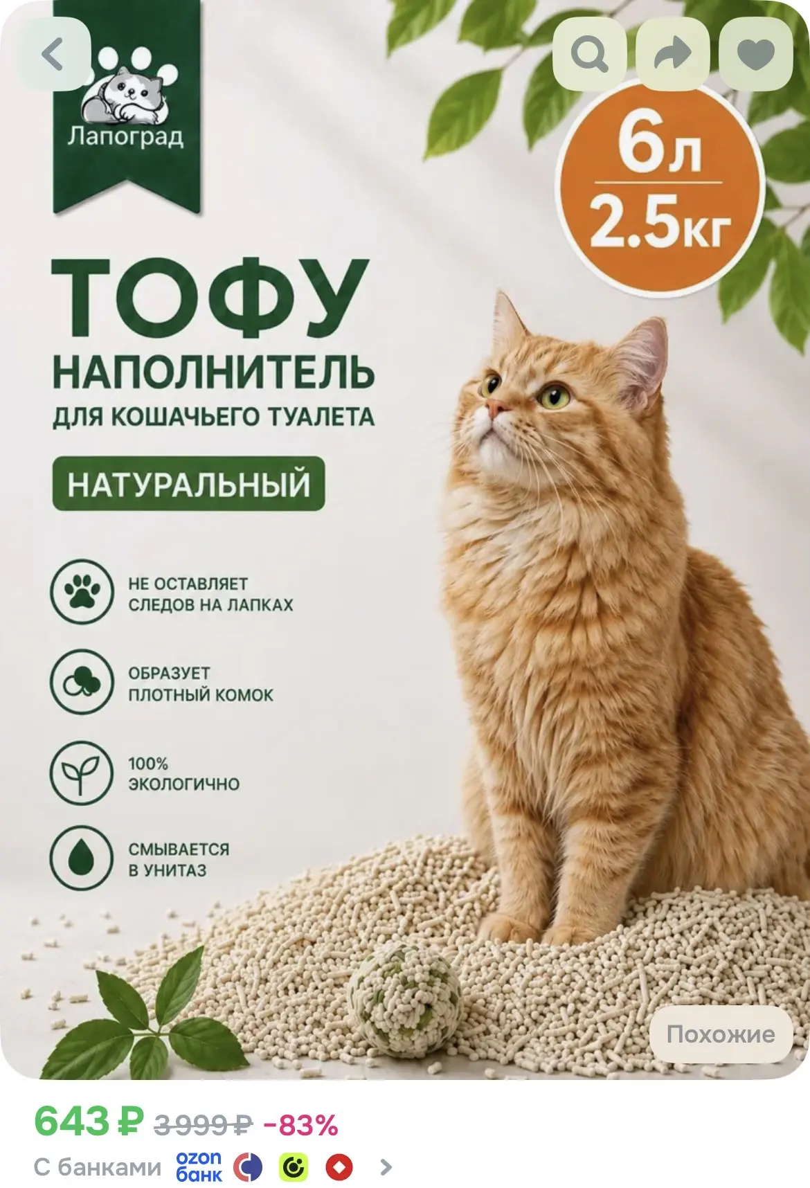 6 л