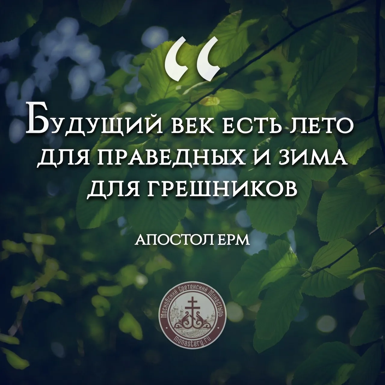 #Цитата_Дня