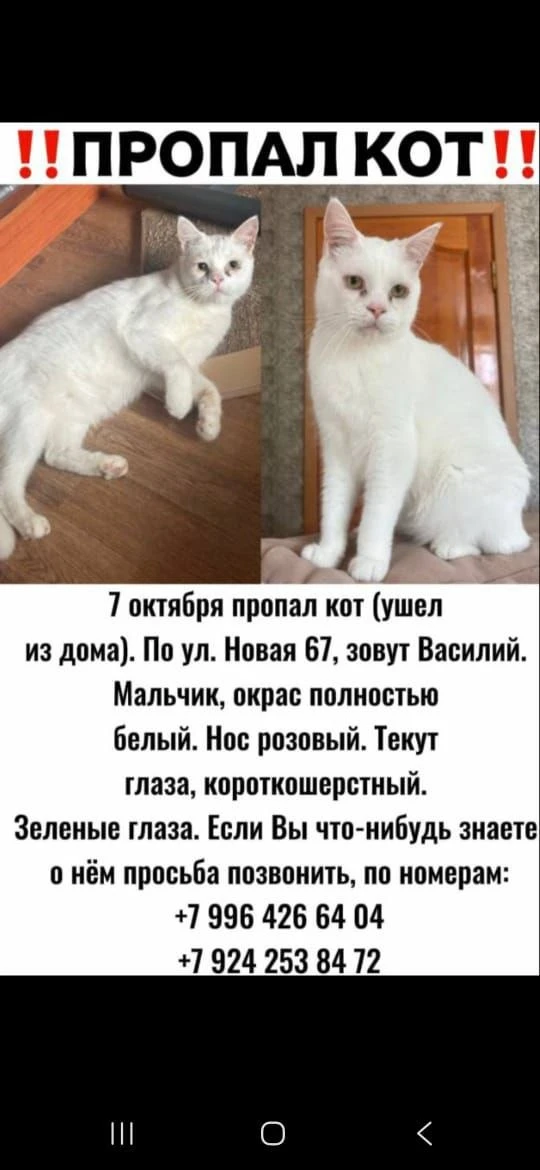 Г.Находка