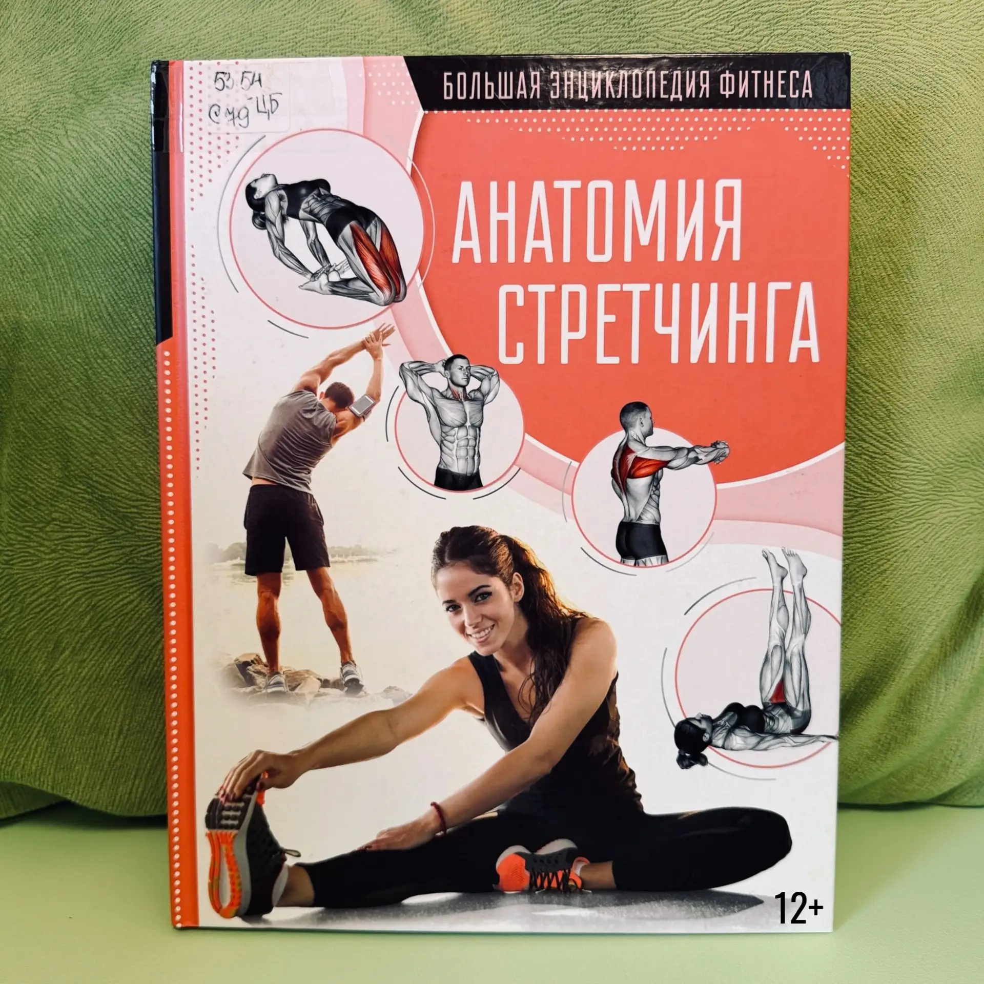 🧘 Стретчинг, или растяжка, — одно из самых популярных и вместе с тем доступных направл...