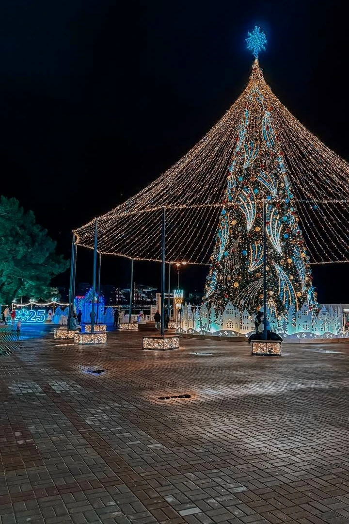 🎄 Новый год в Геленджике: что готовят