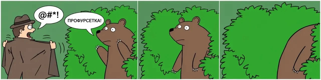 🐻 Громко материться, чтобы отпугнуть медведя, посоветовали россиянам