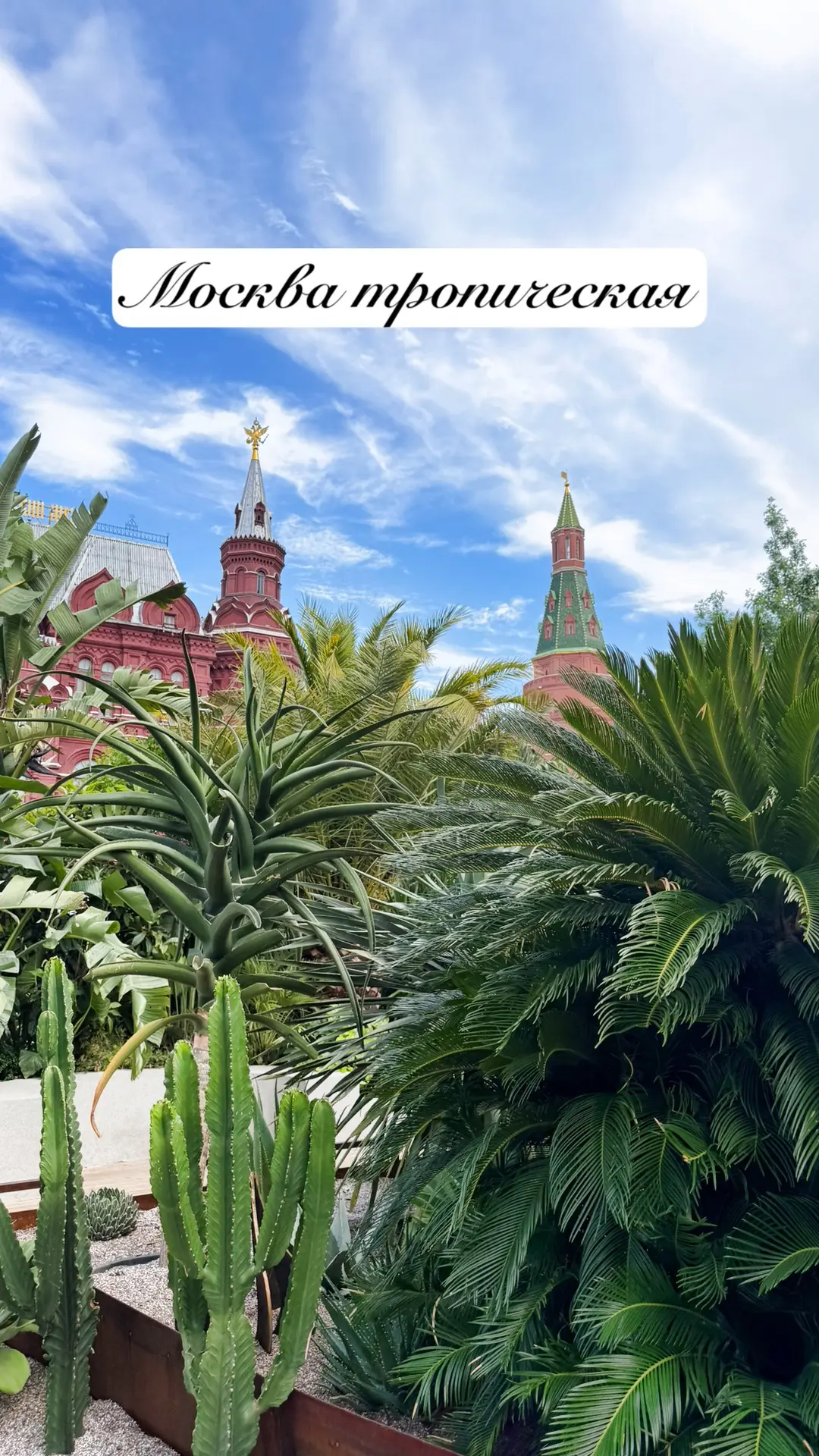 Московские джунгли.