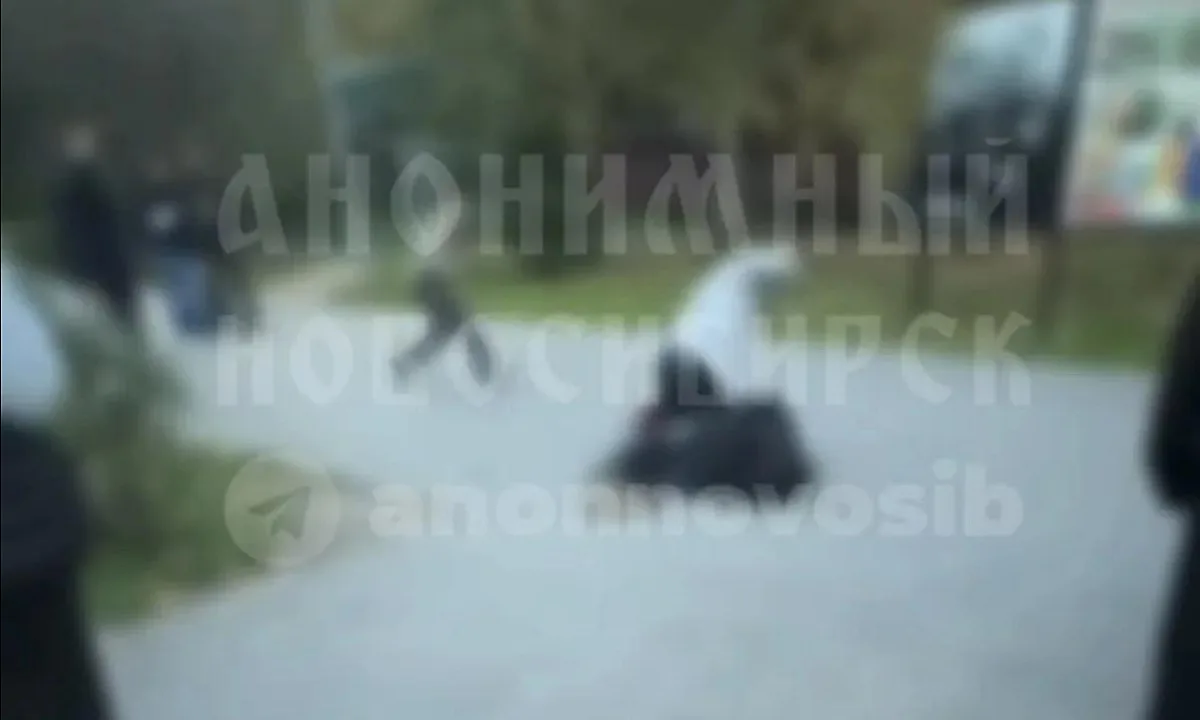 «Пинали ногами»: в Новосибирске следователи проверят факт жестокого избиения школьницы