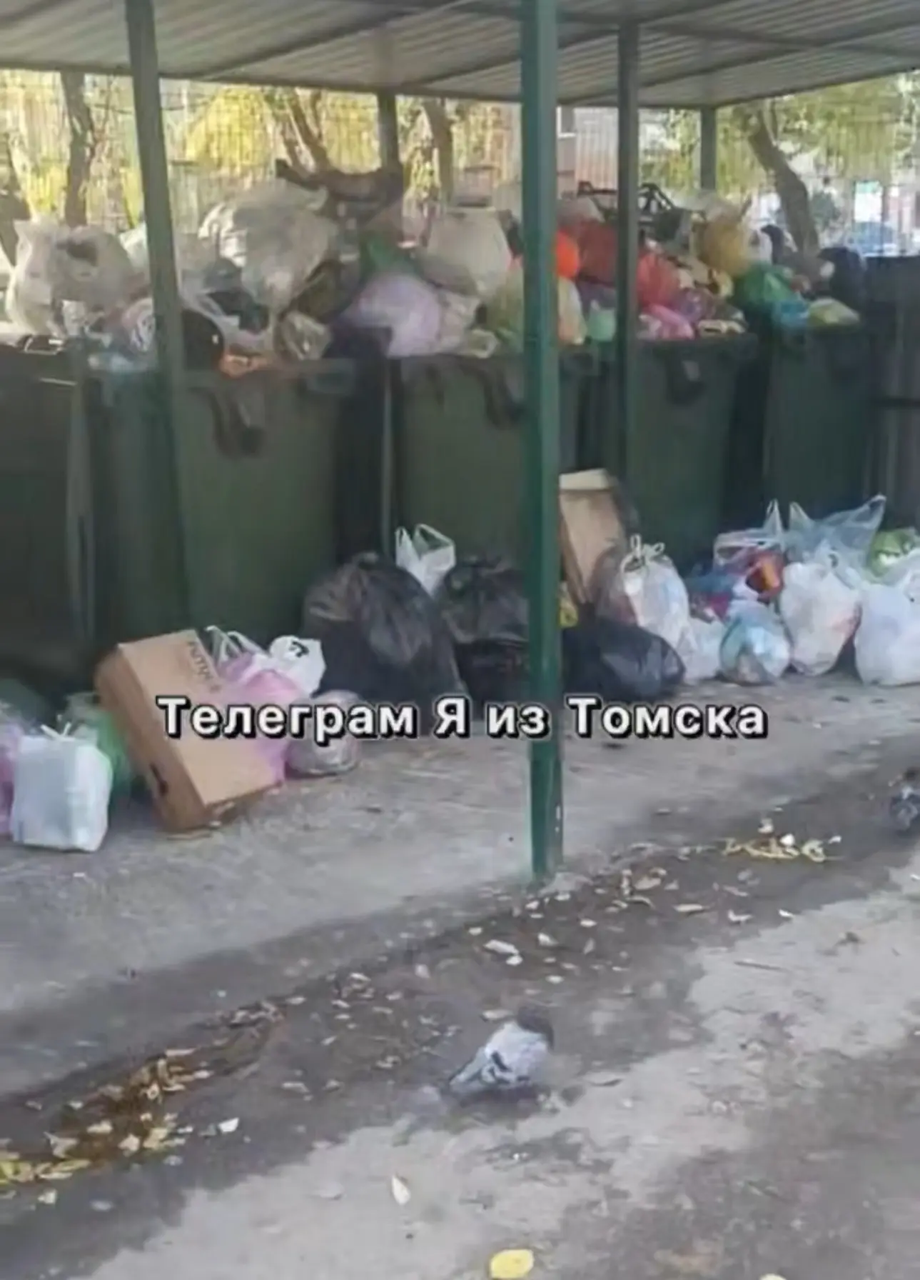 🗑На Иркутском тракте, 104а мусор не вывозят и отходы копятся уже рядом с баками.